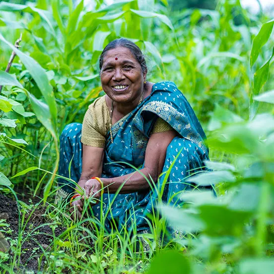 Zajištěný příjem